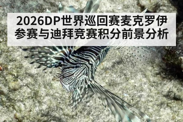 2026DP世界巡回赛麦克罗伊参赛与迪拜竞赛积分前景分析